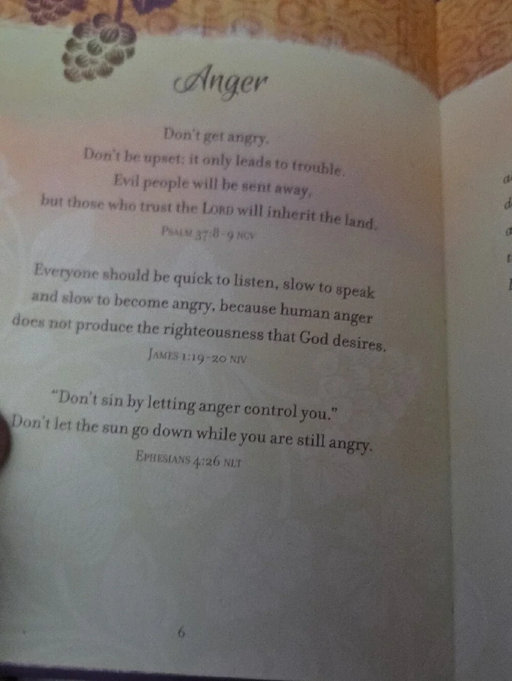 N/A softcover devotional